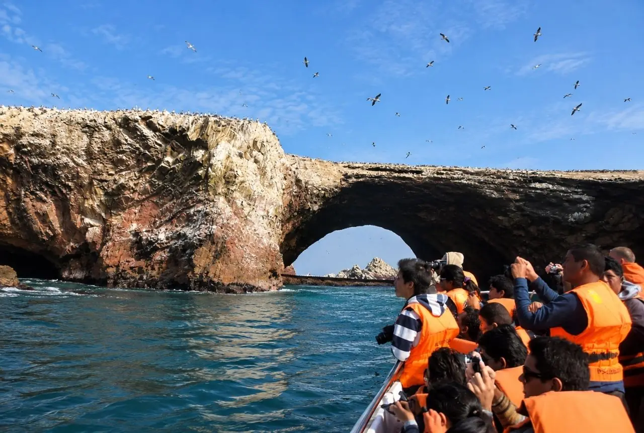 Reserva Nacional de Paracas